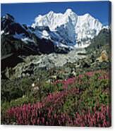 Wildflowers And Kangshung Glacier Canvas Print