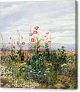 Wildflowers With A View Of Dublin Dunleary Canvas Print