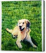 Wilson The Hanes Family Dog Sold Canvas Print