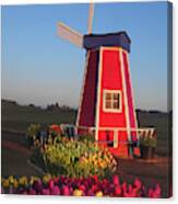 Wind Mill At The Tulip Festival Canvas Print