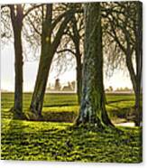 Windmill And Trees In Groningen Canvas Print