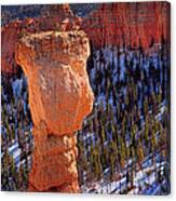 Wine Glass Toast In Bryce Canyon Canvas Print