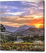 Winelands Sunset Canvas Print