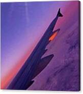 Wing Reflects Sunset Canvas Print