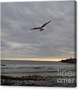 Wings Canvas Print