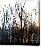 Winter Abstract Canvas Print