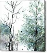 Winter Beauty Canvas Print