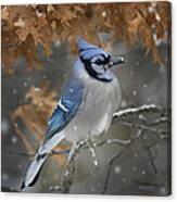 Winter Blues Canvas Print