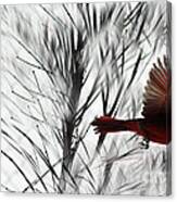 Winter Cardinal Canvas Print
