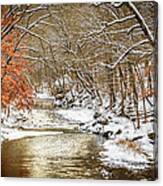 Winter Creek Canvas Print