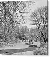 Winter Creek In Black And White Canvas Print