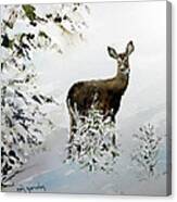 Winter Deer Canvas Print