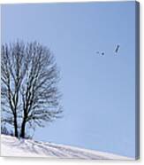 Winter - Fly Past Canvas Print