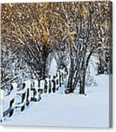 Winter Gold And White Canvas Print