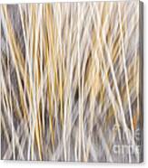 Winter Grass Abstract Canvas Print