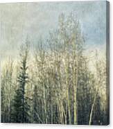 Winter Grove Canvas Print