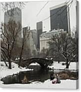 Winter In Central Park Canvas Print