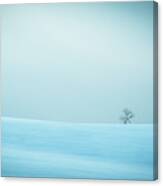 Winter In Solitude Canvas Print
