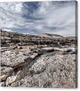 Winter In The Desert Canvas Print