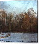 Winter Lagoon W Metal Canvas Print