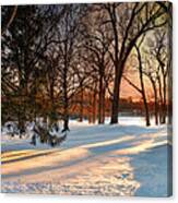 Winter Light Canvas Print