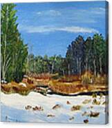 Winter Marsh In Hooksett Canvas Print