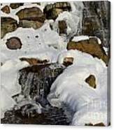 Winter Mountain Stream Canvas Print
