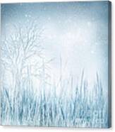 Winter Canvas Print