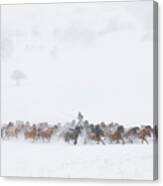 Winter Pastures Canvas Print