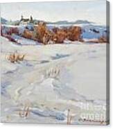Winter Perch Canvas Print