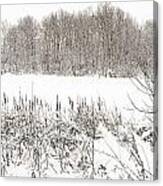 Winter Pond Canvas Print