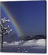 Winter Rainbow At Niagara Falls Canvas Print