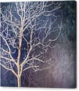 Winter Canvas Print