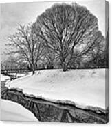 Winter Stream Canvas Print