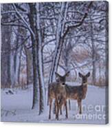 Winter Survival Canvas Print