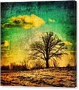 Winter Tree Canvas Print