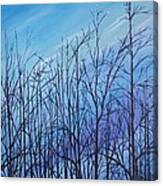 Winter Trees Against A Blue Sky Canvas Print