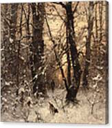 Winter Twilight Canvas Print