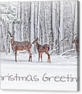 Winter Visits Card Canvas Print
