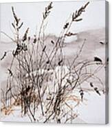 Winter Weeds Canvas Print