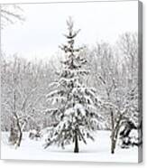 Winter White-out Canvas Print
