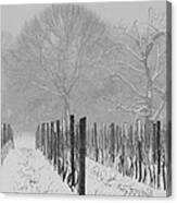 Winter Wine Canvas Print