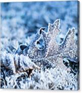 Winter's Icy Grip Canvas Print