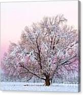 Winter's Majesty Morning Canvas Print