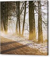 Winter...where Are You Canvas Print