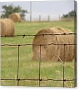 Wire And Hay Canvas Print