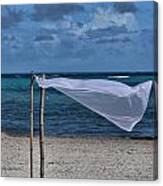 With The Wind Canvas Print