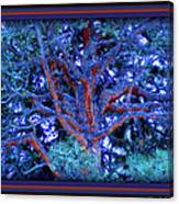 Withered Branches Canvas Print
