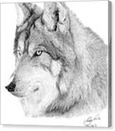 Wolf - 006 Canvas Print