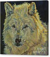 Wolf Moon Canvas Print